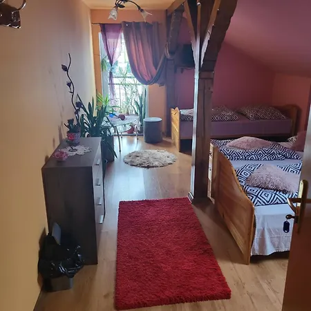 Venkovský dům Swierki *